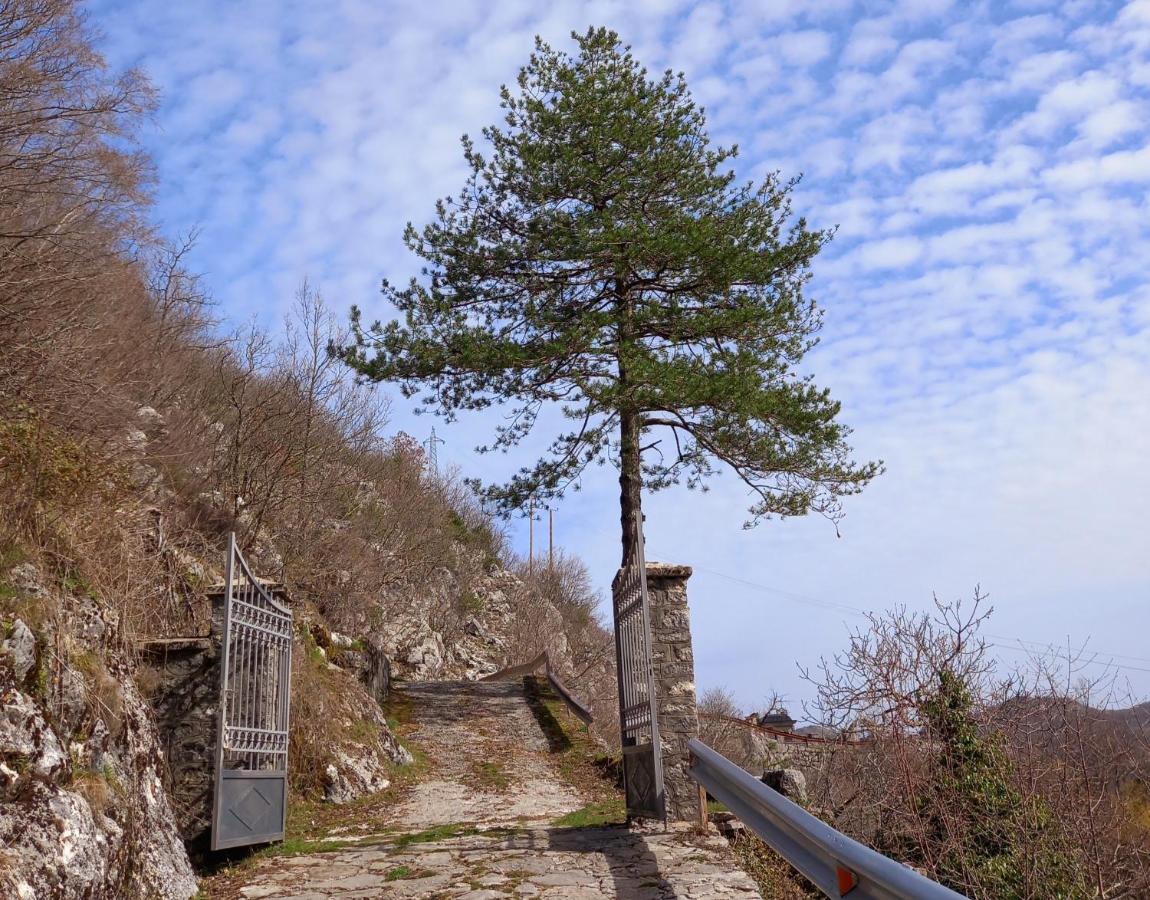 Konak Ugnji-Village Cetinje Bagian luar foto