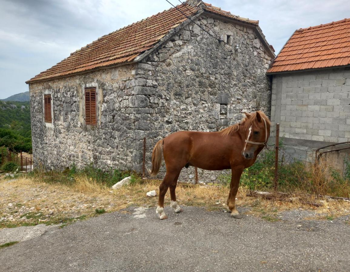 Konak Ugnji-Village Cetinje Bagian luar foto