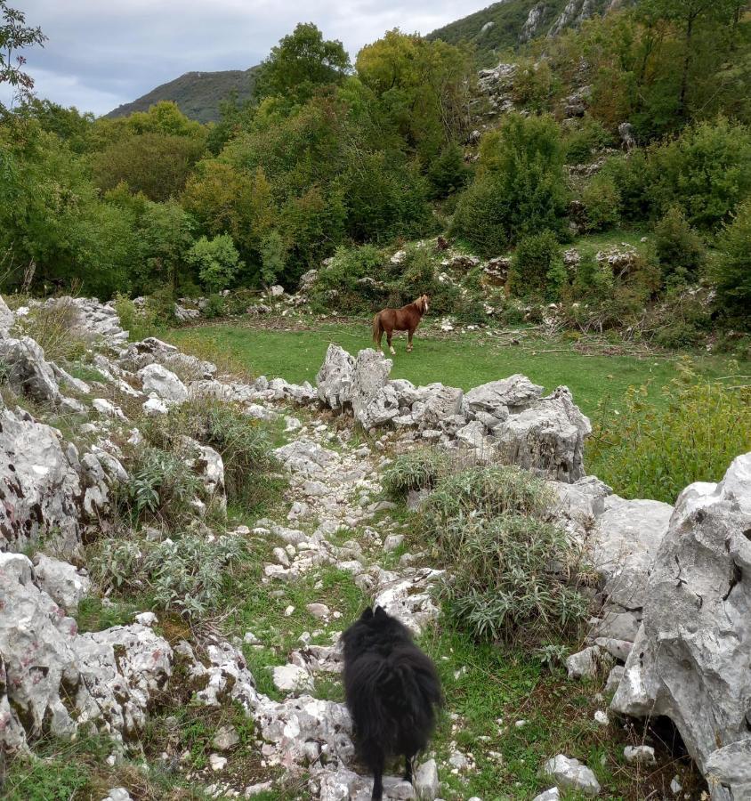 Konak Ugnji-Village Cetinje Bagian luar foto