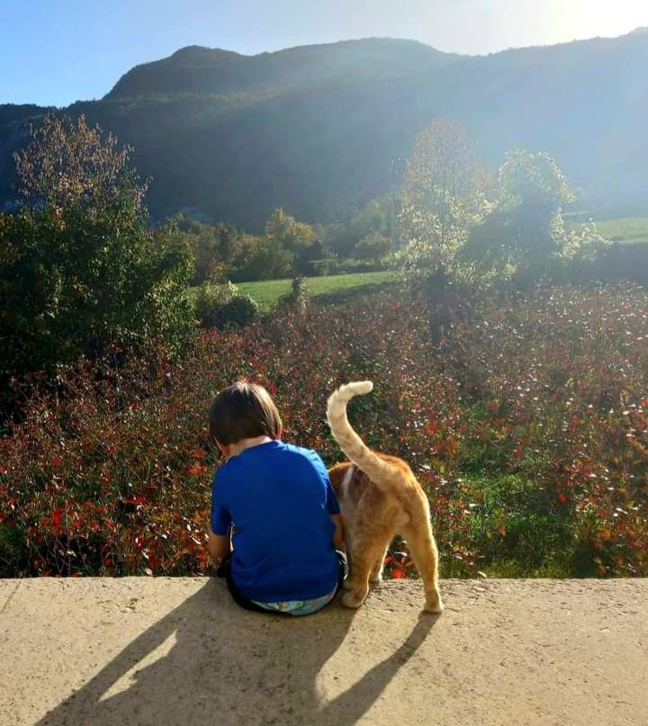 Konak Ugnji-Village Cetinje Bagian luar foto