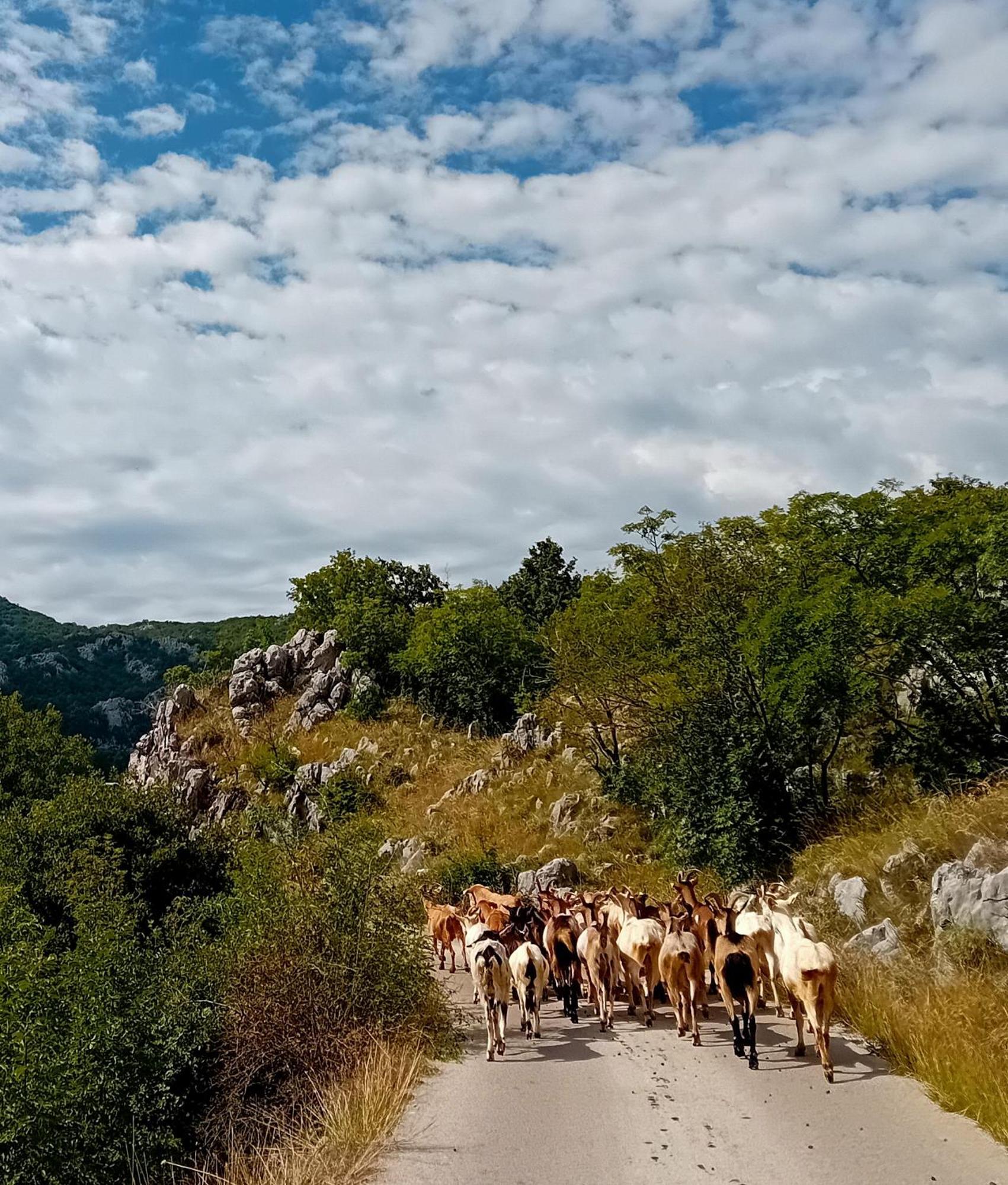 Konak Ugnji-Village Cetinje Bagian luar foto